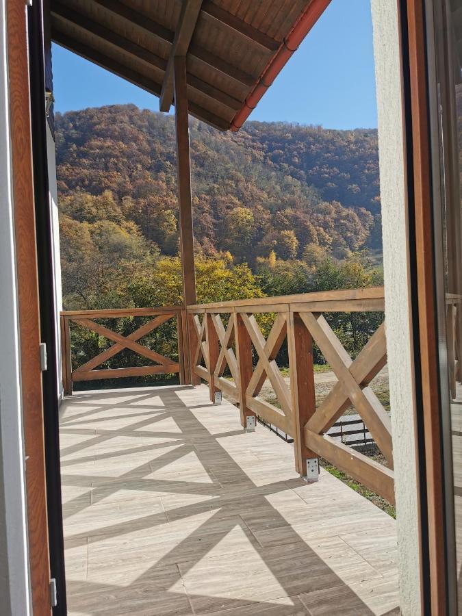 Pensiunea La Nenea Iancu Pianu de Sus 外观 照片