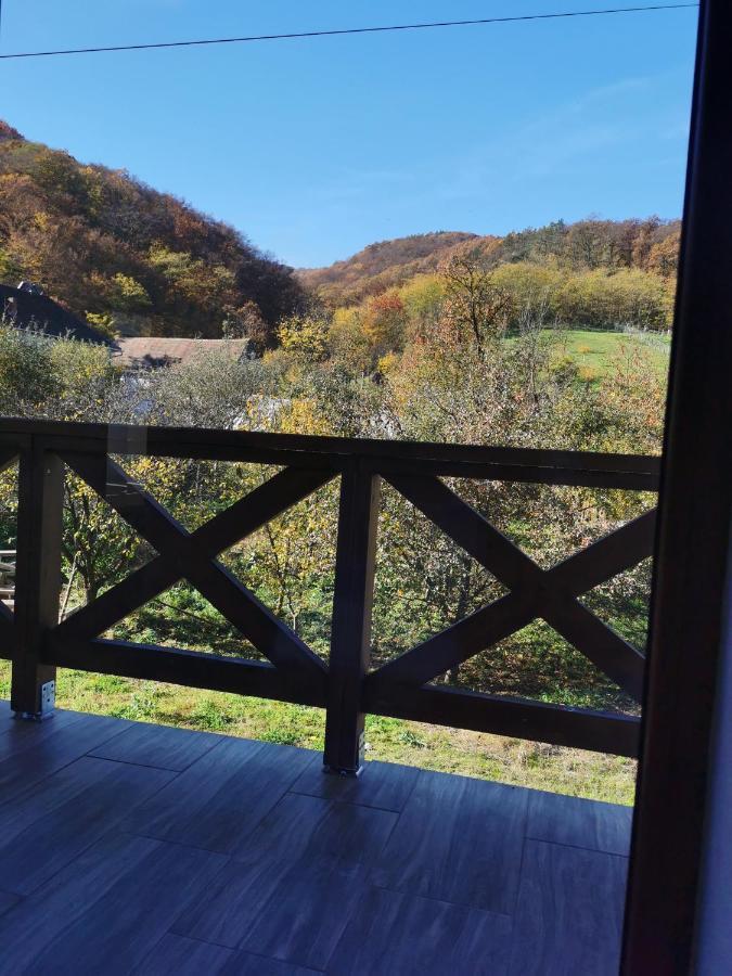 Pensiunea La Nenea Iancu Pianu de Sus 外观 照片