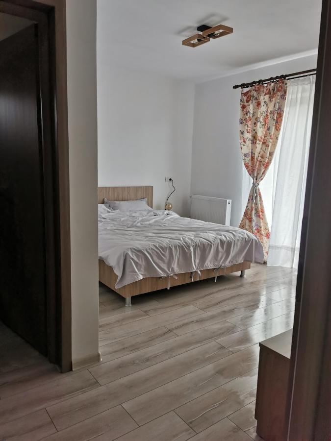 Pensiunea La Nenea Iancu Pianu de Sus 外观 照片